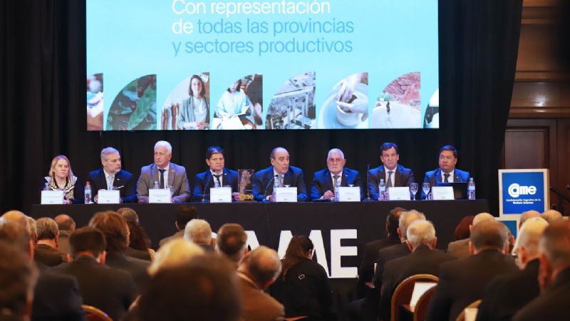 CAME planteó a Francos políticas laborales e impositivas diferenciales para las pymes