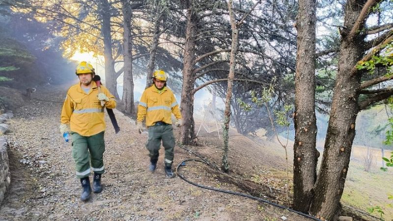 Organismos estatales trabajan para combatir incendios forestales