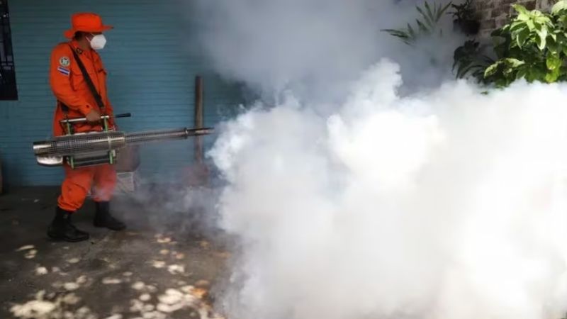 Alerta verano: identifican a un super dengue