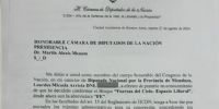 LA NOTA de anunciando su desvinculación de LLA y la creación de su propio bloque unipersonal.
