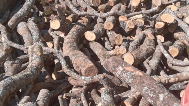 Secuestran gran cantidad de leña