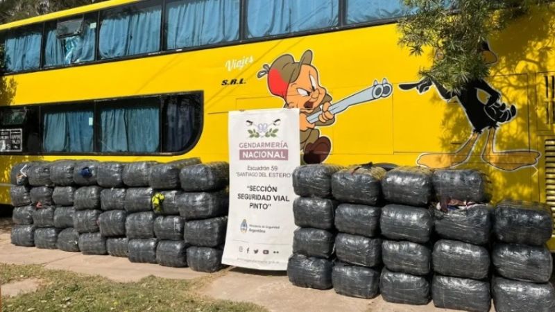 Secuestran más de 1 tonelada de hojas de coca