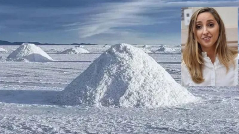 Strada defendió su proyecto sobre el litio