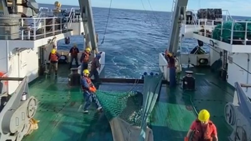 Empresa pesquera donó al INIDEP una red para las evaluaciones de langostino y selectividad