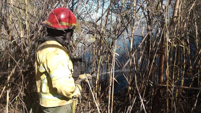 Quema de pastizales afectó a 5 familias en Santa Rosa