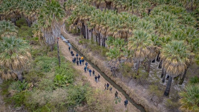 El Gobierno reactivará la obra del Parque Los Palmares