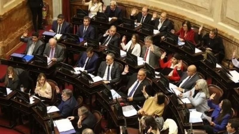 El Senado volvió a torcerle el brazo a Milei