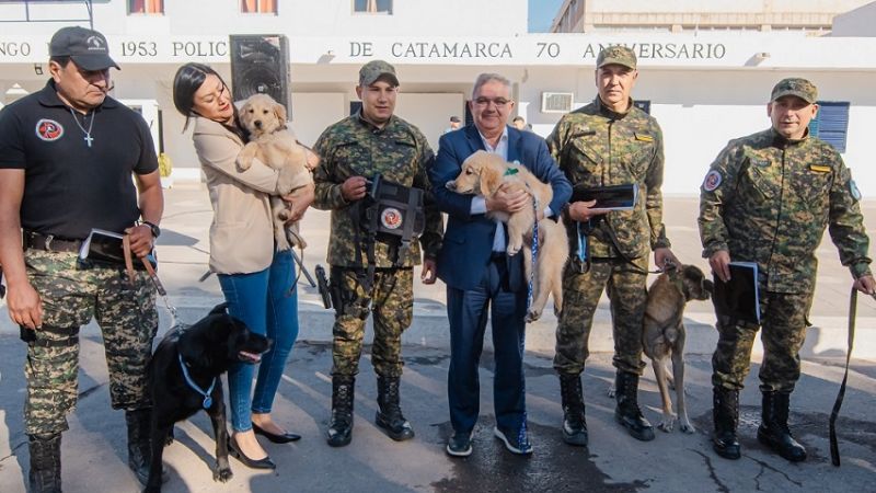 Se retiraron tres canes de las fuerzas de Seguridad