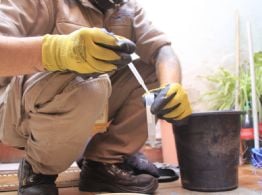 Catamarca suma un nuevo caso de dengue y mantiene sin fallecidos la situación epidemiológica