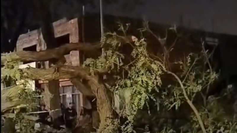 Cayó una tipa y de milagro no hubo heridos