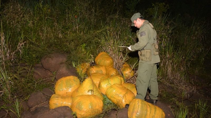 Decomisaron más de 200 kilos de marihuana ocultos entre la maleza