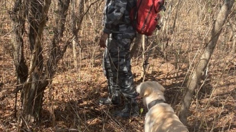 Perros y guías de la policia local colaboran en Salta