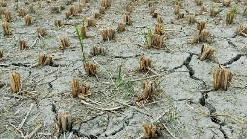Así se vivirá el fenómeno de "La Niña" en Argentina