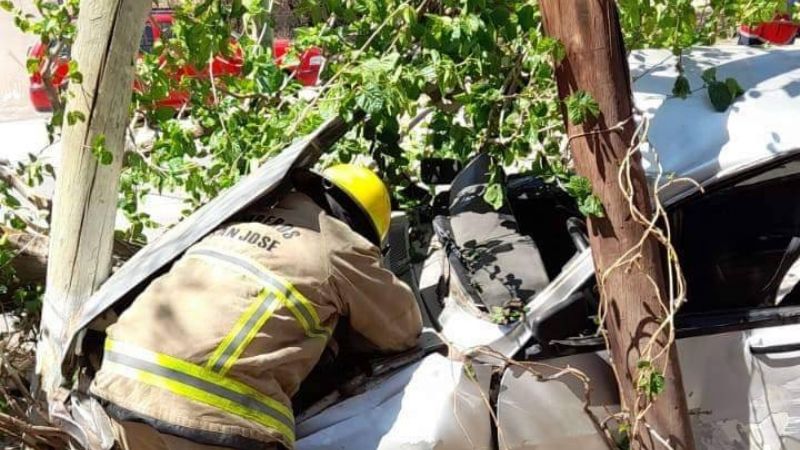 Conductor se durmió y atropelló a una niña