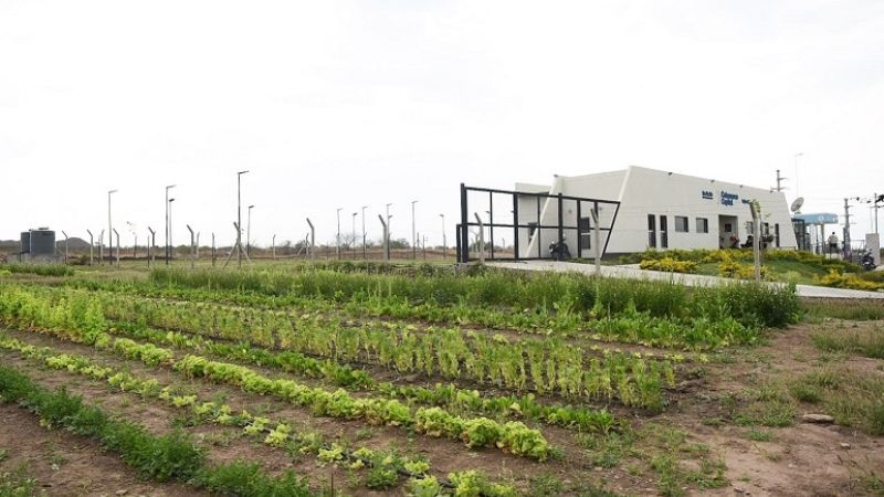 Visita oficial a la primera huerta urbana agroecológica