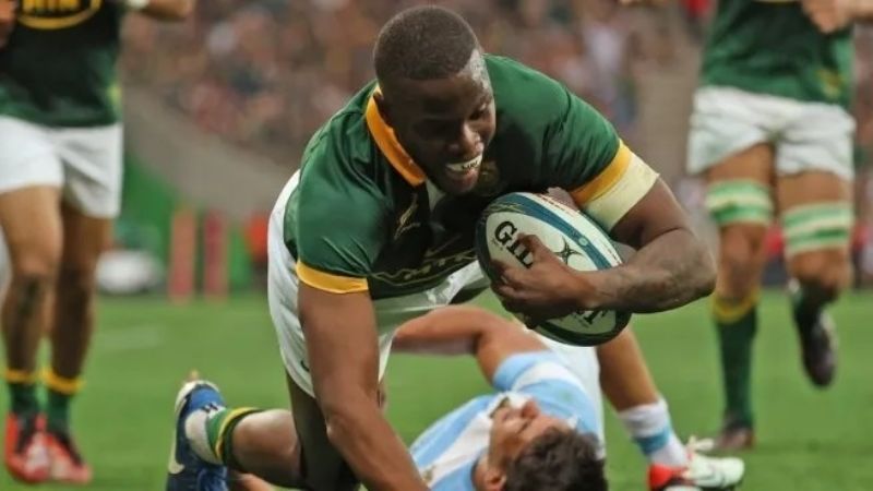 Los Pumas cayeron contra Sudáfrica