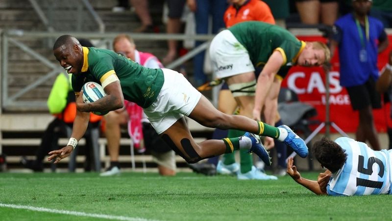 Los Pumas cayeron contra Sudáfrica