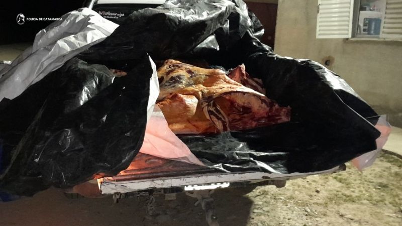 Decomisan 600 kilos de carne