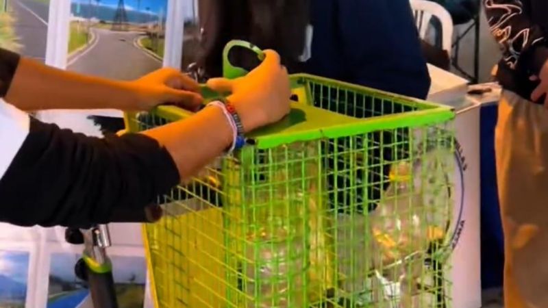 Promueven la Educación Ambiental en la Capital