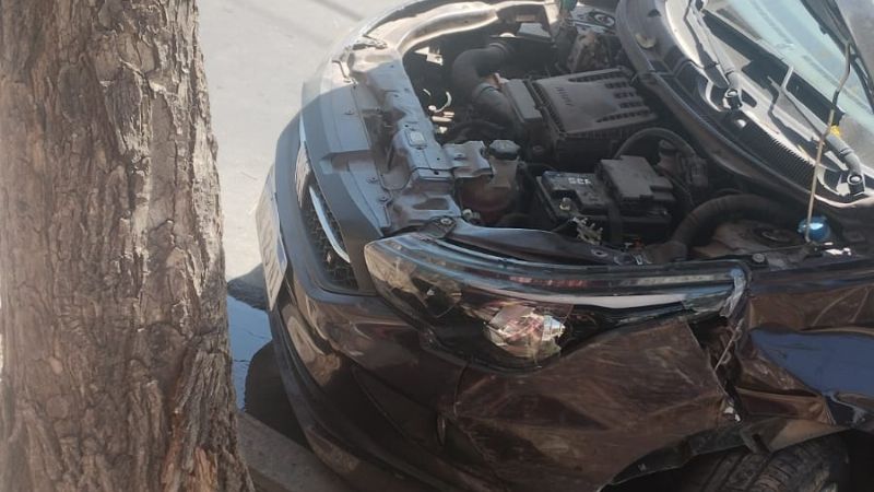 Auto impactó contra un árbol