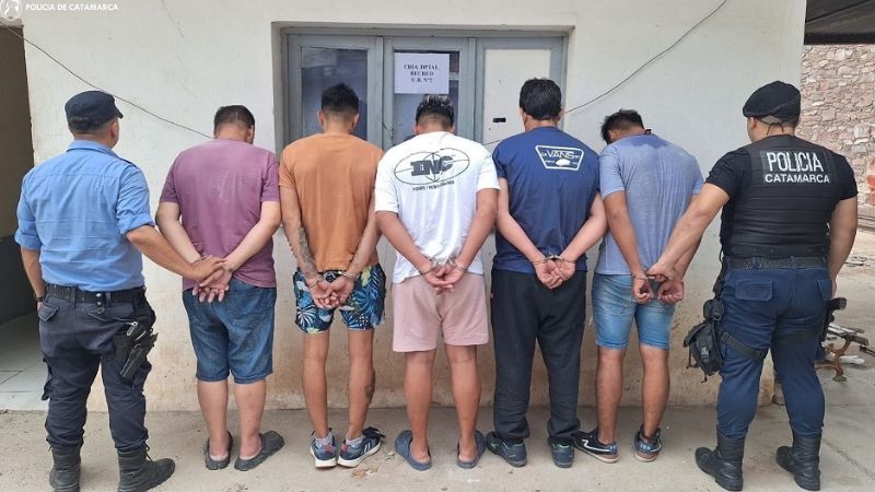 Cinco detenidos por un robo en Recreo