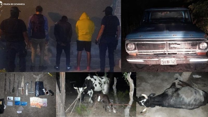 Arrestan a tres supuestos cuatreros en Pomán