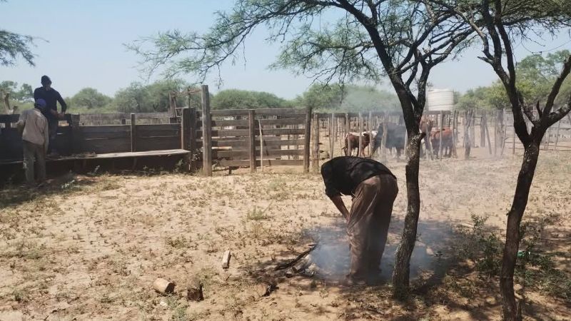 Patrón golpeó salvajemente a su empleado en un campo