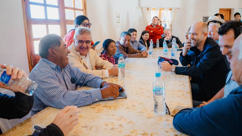 Catamarca busca impulsar la exportación de lana de vicuña con apoyo de Loro Piana