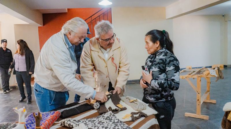 Catamarca busca impulsar la exportación de lana de vicuña con apoyo de Loro Piana