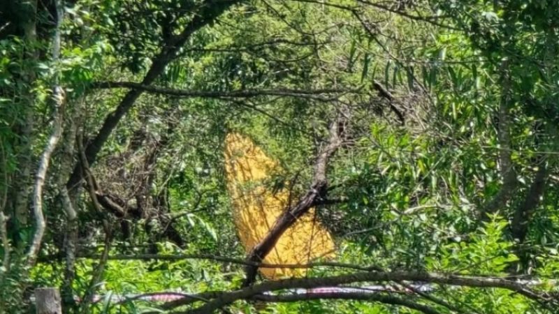 Una avioneta del Circo Rodas, con sus pilotos, se precipitó en Salta
