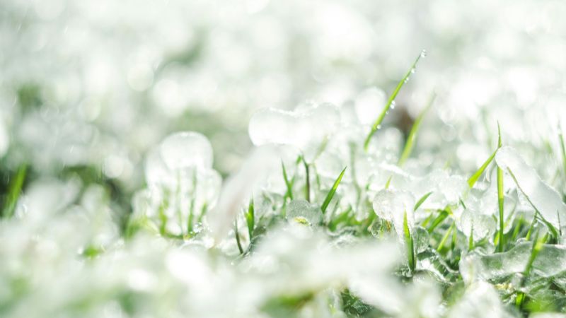 ¡Alerta roja! Fuertes tormentas y granizo amenazan a 9 provincias