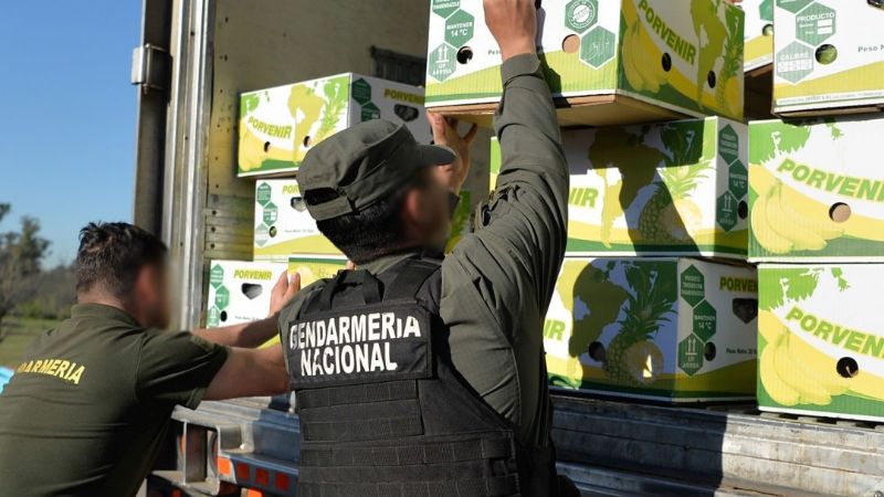 Gendarmería decomisó 444 kilos de cocaína escondidos entre cargamento de bananas