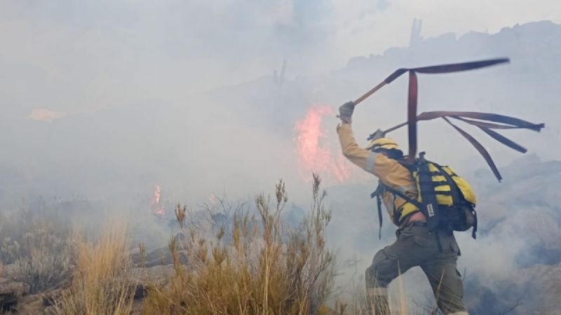 Brigadistas intervienen en incendio forestal en San Antonio del Cajón