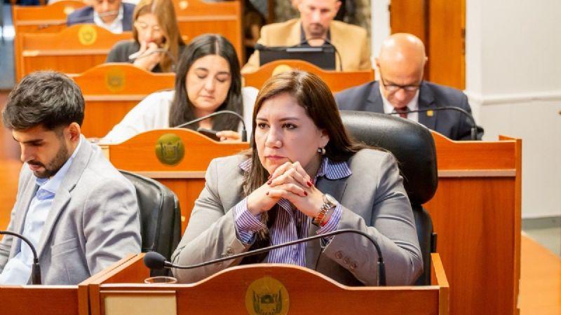 Carrizo: "Jalil mintió, Catamarca nunca lideró el empleo privado, lo estancó"