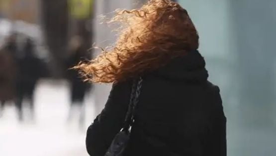 Alerta Naranja por viento: anticipan ráfagas de más de 110 km/h