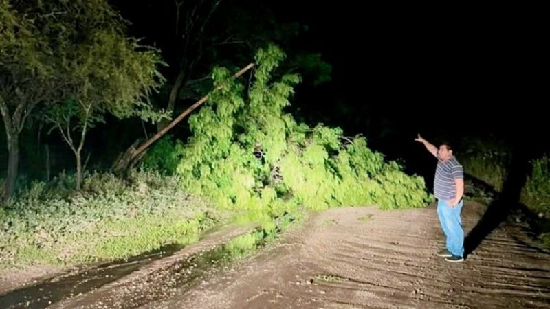 La tormenta causó severos daños en el Este