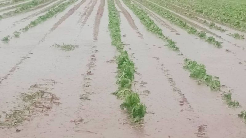 La tormenta causó severos daños en el Este