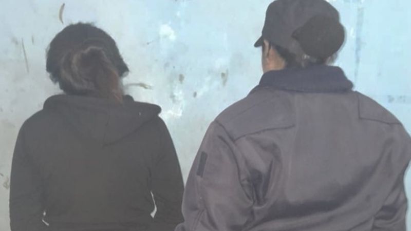 Una mujer, que días atrás robó una cartera, fue detenida hoy en el Norte de la Capital