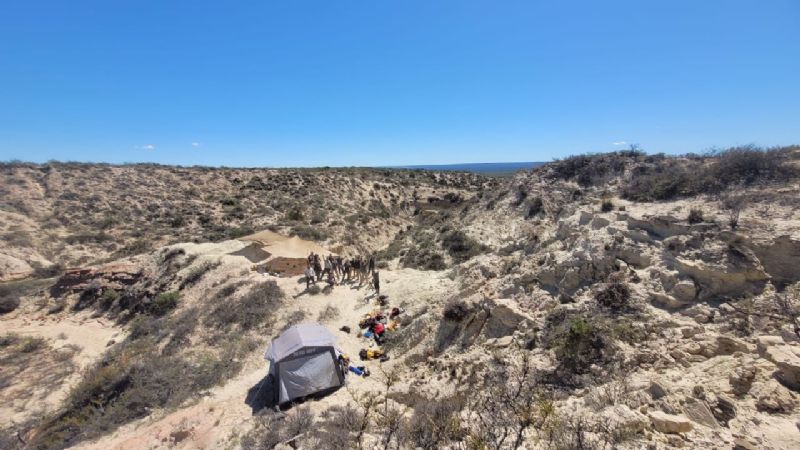 Volvió el streaming del Conicet: ahora buscan restos de dinosaurios en la Patagonia