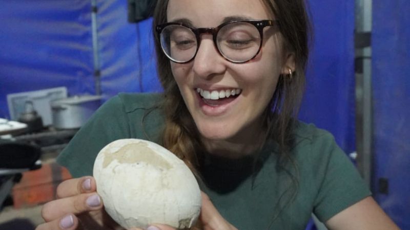 Descubrimiento histórico del CONICET: hallan un huevo de dinosaurio en perfecto estado