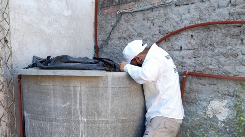 Control focal para evitar la proliferación del mosquito transmisor del dengue