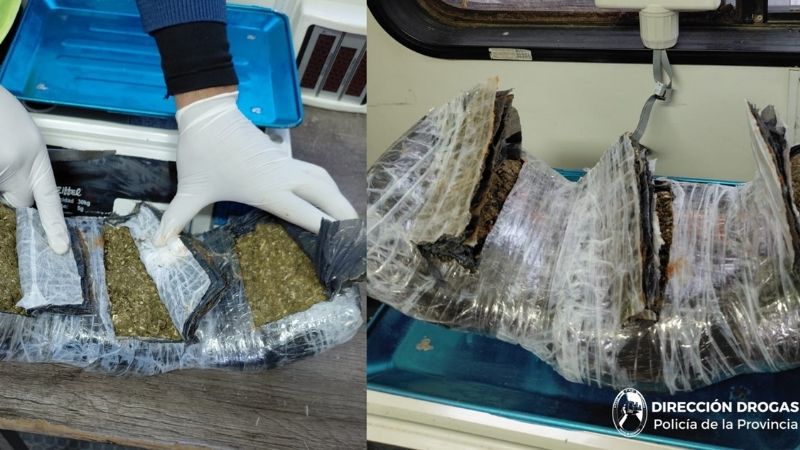 Llevaba adherido al cuerpo, más de un kilo de marihuana