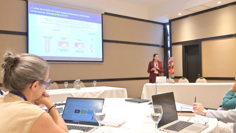 Salud presentó el Programa Cardiovascular a la Cámara de Comercio de los Estados Unidos en Argentina