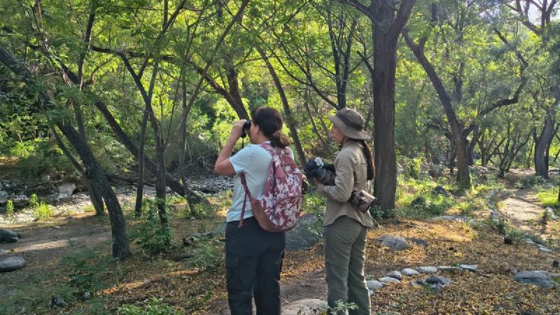 Entretenido avistaje de aves en Pueblo Perdido
