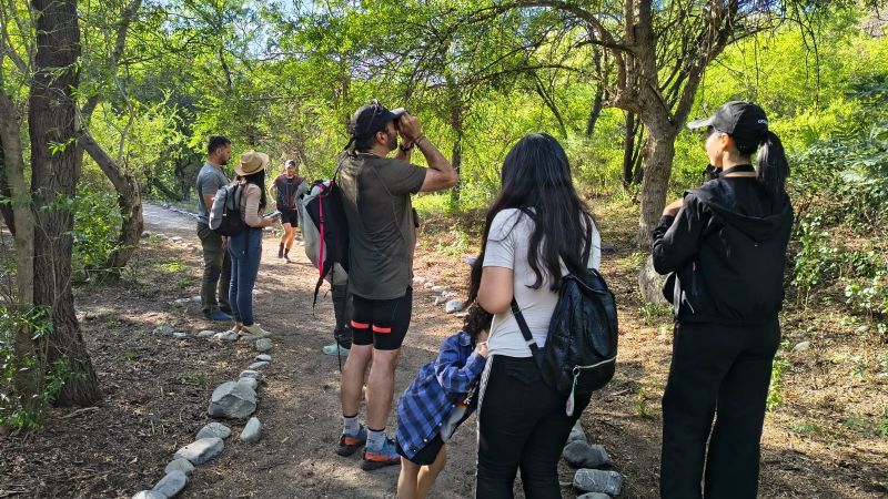 Entretenido avistaje de aves en Pueblo Perdido