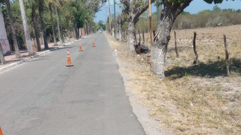 Murió un motociclista tras chocar contra un árbol