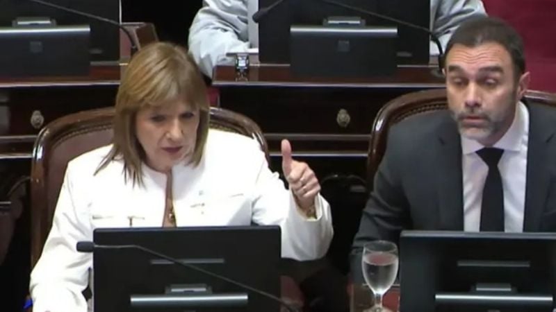 Juraron 23 de los 24 nuevos senadores