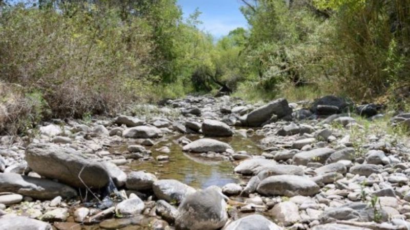 Lanzan “Estudio transdisciplinario y saneamiento integral del río El Tala”