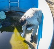 Salud intensifica los controles para prevenir el dengue en distintos barrios