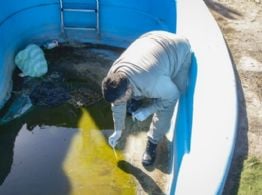 Reportan nuevos casos de dengue y chikungunya en la última semana epidemiológica